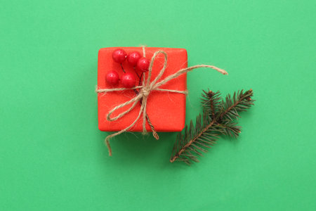 Christmas gift box with fir branch and rowan on green backgroundの写真素材