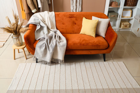 Interior of modern living room with brown sofa, warm blanket and pampas grassの写真素材