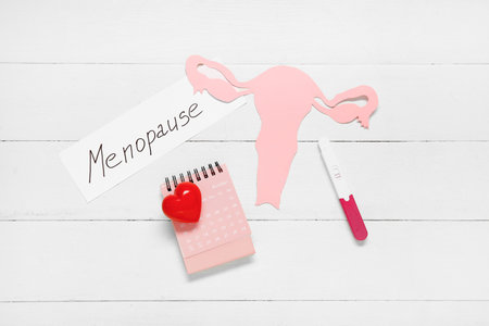 Word MENOPAUSE with calendar, paper uterus and pregnancy test on white wooden backgroundの写真素材