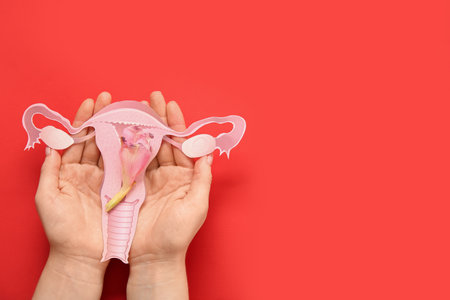 Woman with paper uterus on red background. Menopause conceptの写真素材
