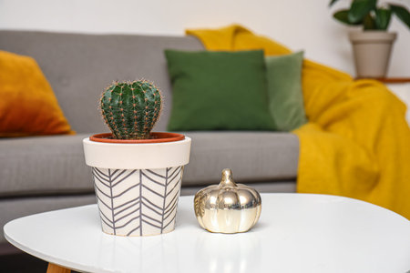 Cactus and decorative pumpkin on coffee table in living room, closeupの写真素材