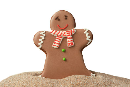 Tasty gingerbread cookie in heap of sand against white background. Christmas vacation concept