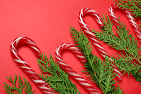 Christmas candy canes and coniferous branches on red backgroundの写真素材