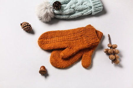 Pair of knitted mittens with warm hat and autumn decor on white backgroundの写真素材