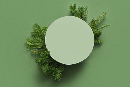 Round blank card with fir twigs on green backgroundの写真素材
