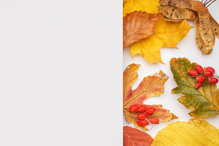Beautiful autumn composition with blank card on white background