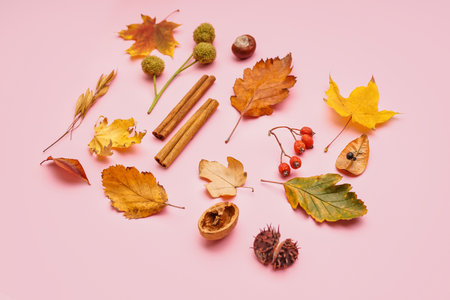 Beautiful autumn composition on pink backgroundの写真素材
