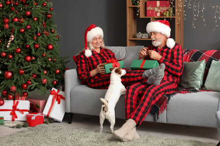 Happy mature couple with Christmas gifts and Jack Russell terrier at homeの写真素材