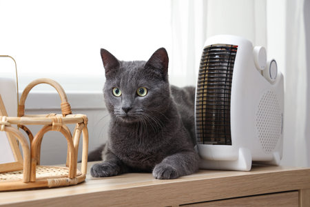Cute cat with electric heater on shelf at homeの写真素材