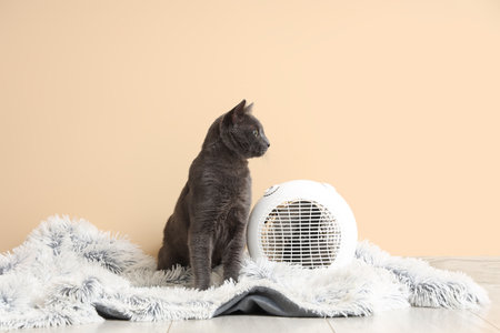 Cute cat with electric fan heater on plaid near beige wallの写真素材