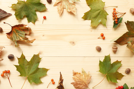Frame made of autumn leaves, acorns and viburnum berries on light wooden background