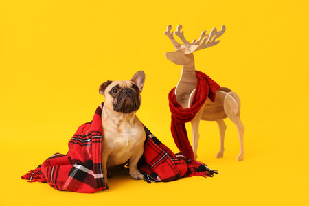 Cute pug dog with Christmas deer and plaid on yellow backgroundの写真素材