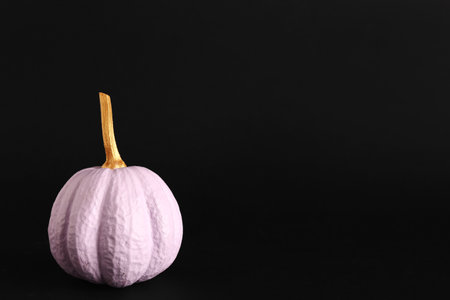 Lilac painted pumpkin on black backgroundの写真素材