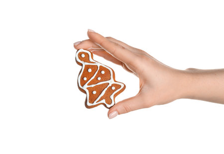 Female hand with sweet Christmas cookie on white backgroundの写真素材