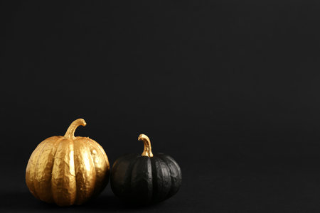 Painted pumpkins on black backgroundの写真素材