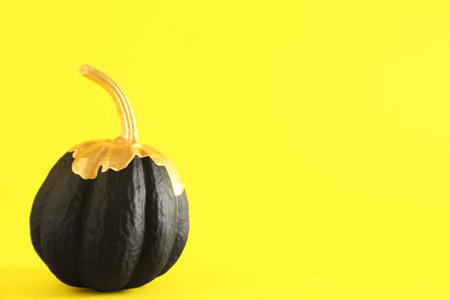 Black painted pumpkin on yellow backgroundの写真素材