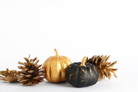 Painted pumpkins with golden cones and leaves on white backgroundの写真素材