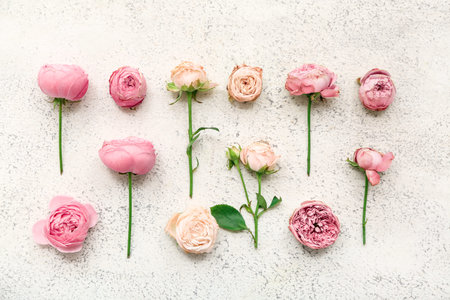 Beautiful pink roses on white background