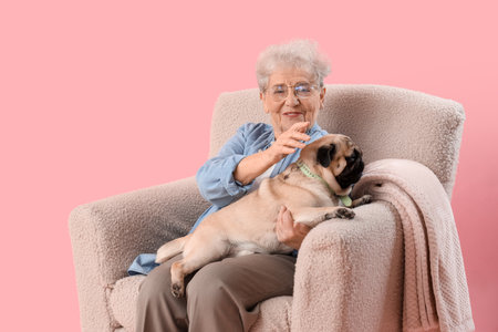 Senior woman with pug dog sitting in armchair on pink backgroundの写真素材