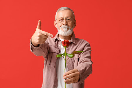 Mature man pointing at rose flower for Valentine's day on red backgroundの写真素材