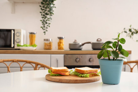 Plant with sandwiches on dining table in kitchen, closeupの写真素材