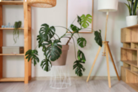 Blurred view of living room with Monstera plant and lampの写真素材