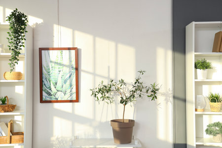 Interior of light living room with green plants and shelf unitsの写真素材
