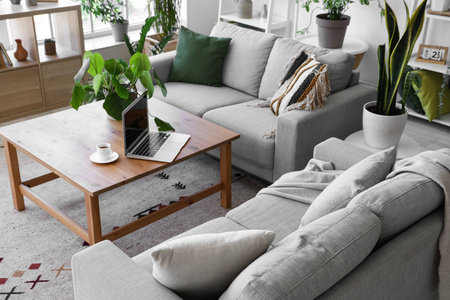 Interior of modern living room with gray sofas houseplantsの写真素材