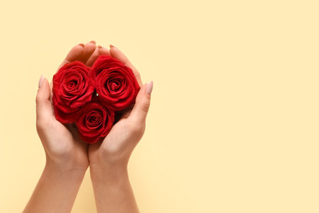 Female hands with beautiful red roses on yellow background. Valentine's day celebrationの写真素材