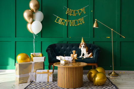 Adorable Beagle dog with party hat celebrating birthday at homeの写真素材