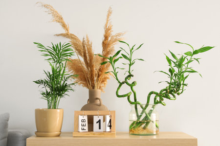 Palm with pampas grass, bamboo stems and calendar on shelf in roomの写真素材