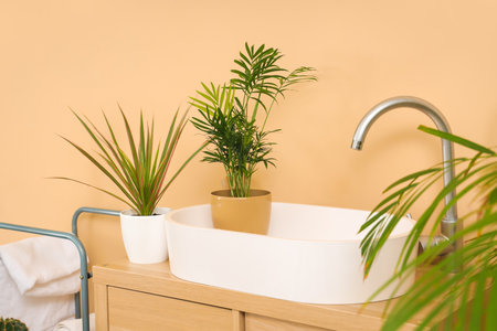 Sink with green plants in bathroomの写真素材