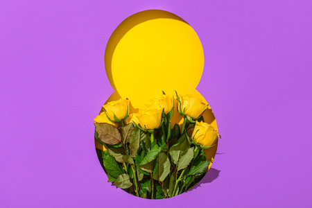 Cut purple paper in shape of figure 8 with beautiful rose flowers on yellow backgroundの写真素材