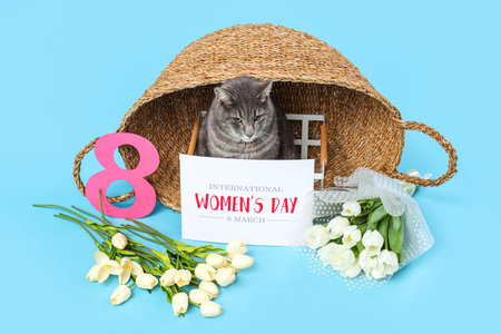 Cute cat in basket, figure 8, greeting card and flowers on blue background. International Women's...