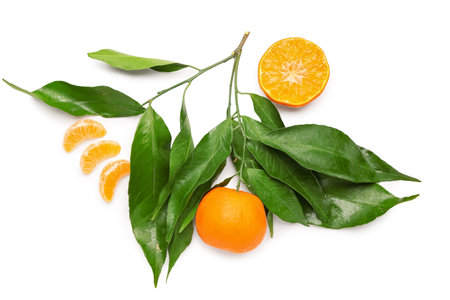 Sweet mandarins with leaves on white backgroundの写真素材
