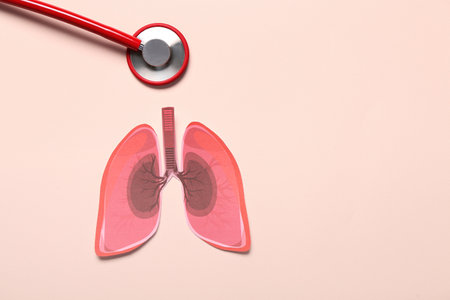 Paper lungs and stethoscope on beige backgroundの写真素材