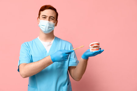 Male dentist in mask with toothbrush and jaw model on pink background. World Dentist Dayの写真素材