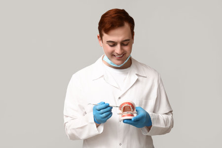 Male dentist with dental explorer and jaw model on gray background. World Dentist Dayの写真素材