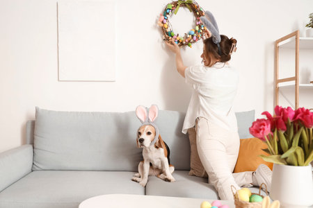 Young woman with Beagle dog in bunny ears hanging Easter wreath on wall at homeの写真素材