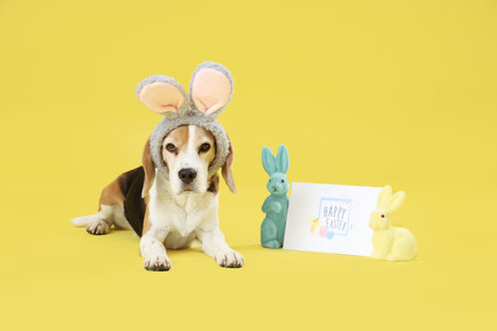 Cute Beagle dog in bunny ears with Easter rabbits and greeting card on yellow background