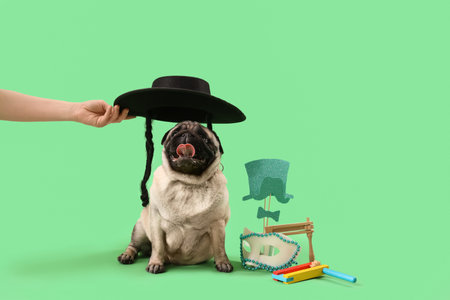 Woman putting Jewish hat onto pug dog on green background. Purim celebrationの写真素材