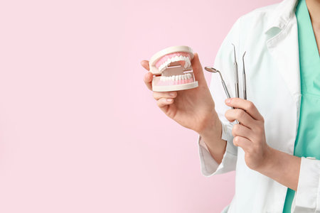 Female dentist with jaw model and dental tools on pink background, closeup. World Dentist Day
