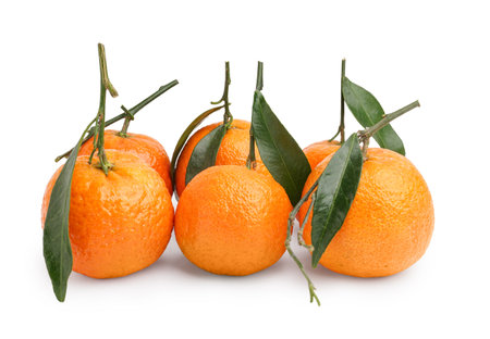 Sweet tangerines with leaves on white backgroundの写真素材