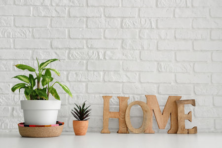 Green plants and decor on table near white brick wallの写真素材