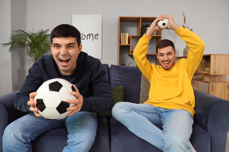 Handsome young brothers sitting on sofa with football balls in living roomの写真素材