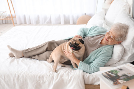 Senior woman with pug dog lying in bedroomの写真素材
