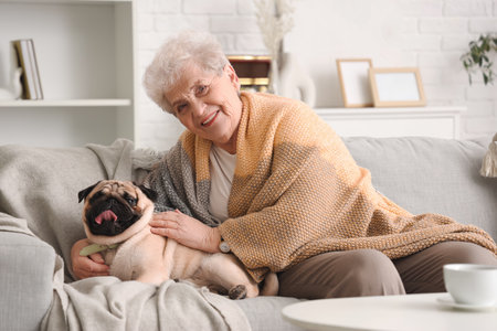 Senior woman with pug dog resting on sofa at homeの写真素材