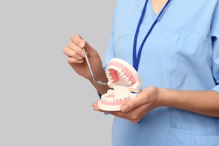Female dentist with dental mirror and jaw model on gray background