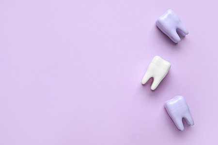 Plastic tooth models on lilac background. World Dentist Dayの写真素材