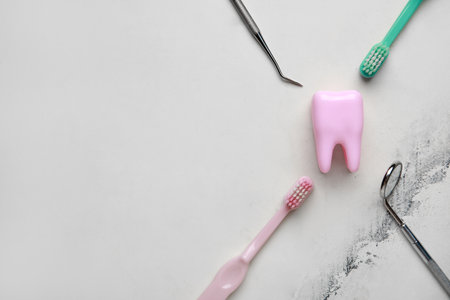 Tooth model, dental tools and toothbrushes on white marble background. World Dentist Dayの写真素材